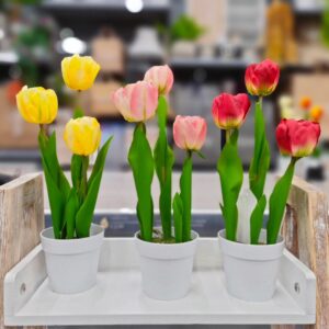 Vaso Tulipani 3 Fiori 34Cm 5Colori