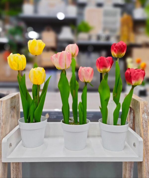 Vaso Tulipani 3 Fiori 34Cm 5Colori