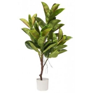 Pianta Ficus Elastica Real Touch 75*70*115Cm