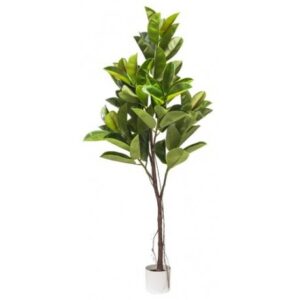 Pianta Ficus Elastica Real Touch 80*70*175Cm