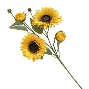 Girasoli Stelo 4 Fiori 70Cm