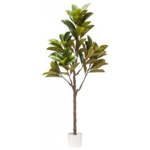 Pianta Magnolia Real Touch H.160Cm