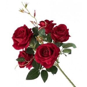 Bush 6 Rose Rosse Velvet 54*16Cm