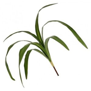 Stelo Green 7 Foglie 73Cm