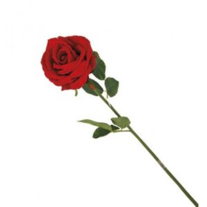 Rosa Velvet Rossa Stelo Singolo 62Cm