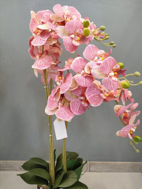 PIANTA ORCHIDEA REAL TOUCH 30 FIORI 80CM - immagine 5
