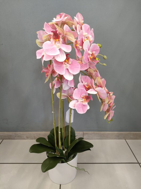 PIANTA ORCHIDEA REAL TOUCH 30 FIORI 80CM - immagine 4