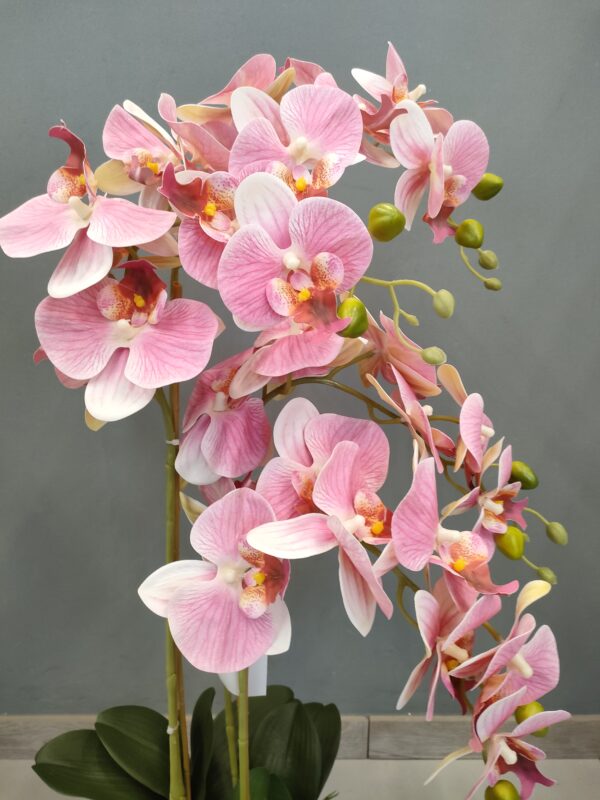 PIANTA ORCHIDEA REAL TOUCH 30 FIORI 80CM - immagine 2