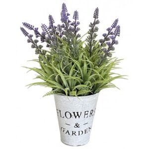 Lavanda Flower & Garden H.25Cm