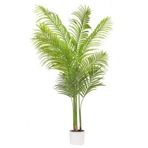 Pianta Palma Areca 10 Foglie H.150Cm