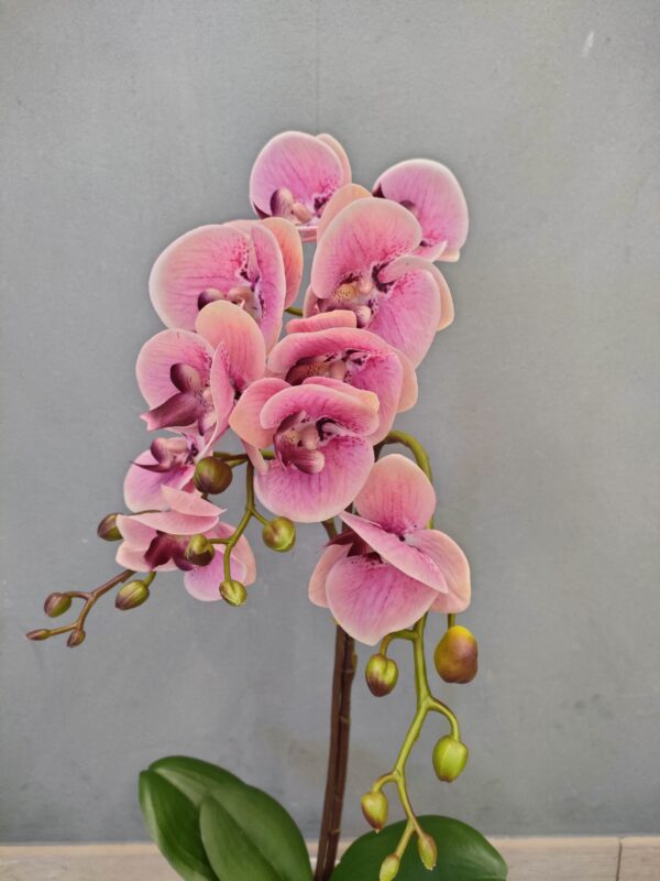 Orchidea Real Touch Vaso 44Cm - immagine 2