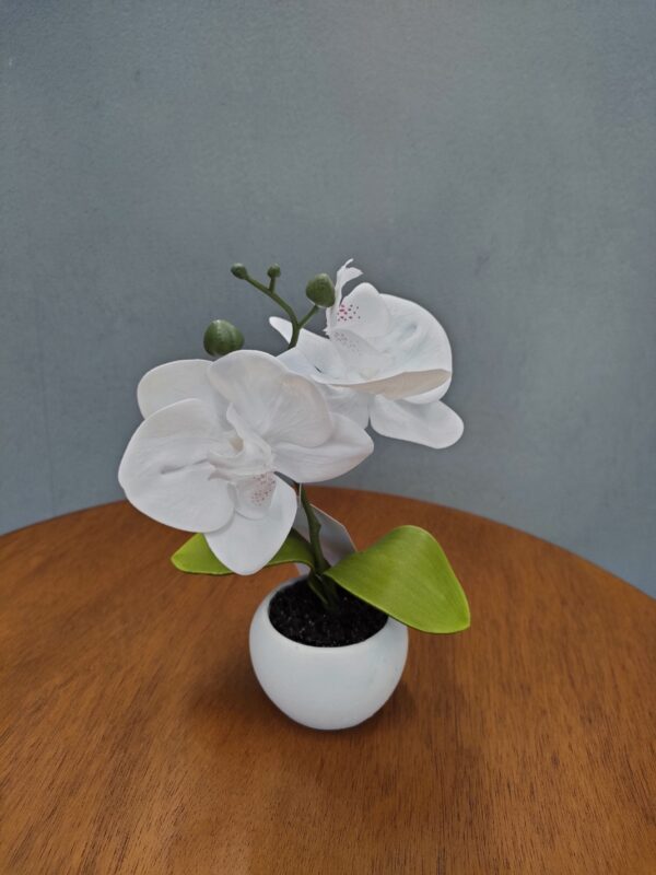 Mini Orchidea White Real Touch 5,5*5,5*17Cm - immagine 3