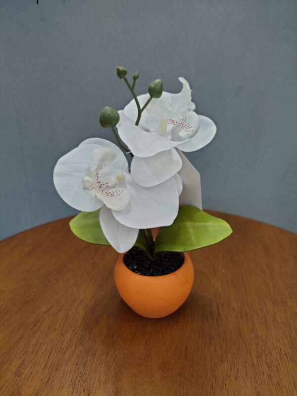 Mini Orchidea White Real Touch 5,5*5,5*17Cm - immagine 4