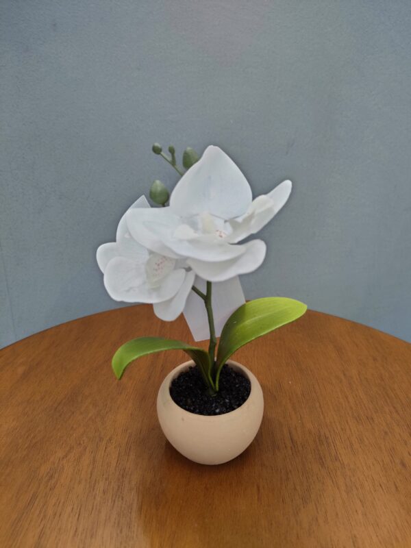 Mini Orchidea White Real Touch 5,5*5,5*17Cm - immagine 5