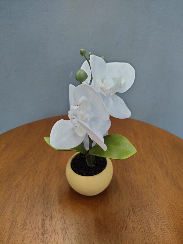 Mini Orchidea White Real Touch 5,5*5,5*17Cm - immagine 6