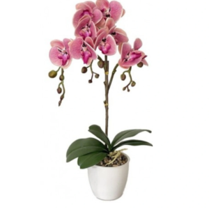 Orchidea Real Touch Vaso 44Cm