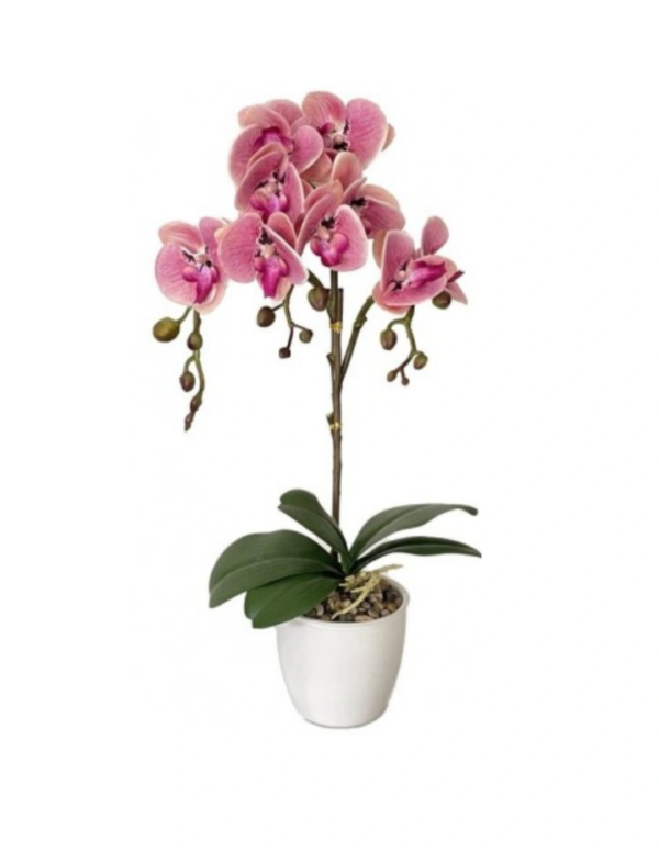 Orchidea Real Touch Vaso 44Cm