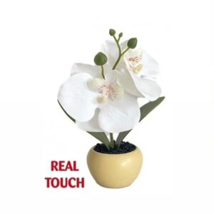 Mini Orchidea White Real Touch 5,5*5,5*17Cm