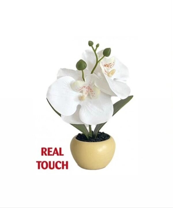 Mini Orchidea White Real Touch 5,5*5,5*17Cm