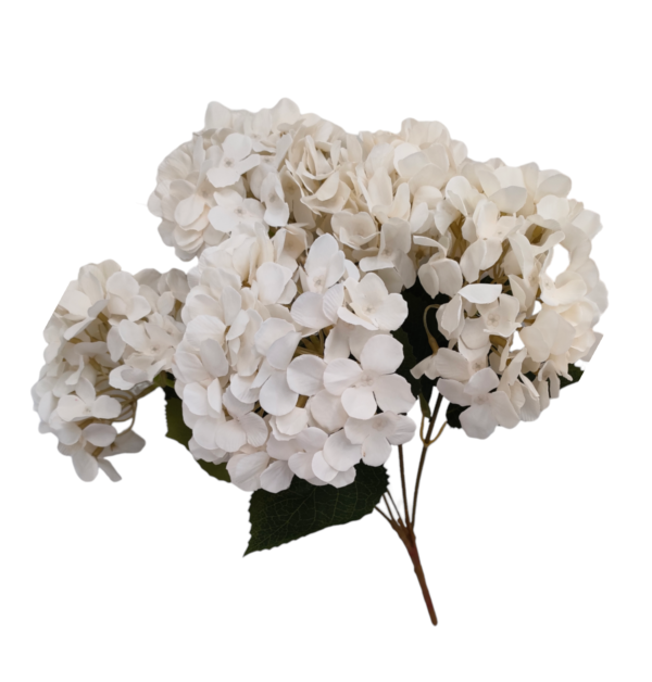 Mazzetto Ortensia 5 Steli 15*47Cm - immagine 2