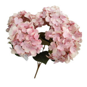 Mazzetto Ortensia 5 Steli 15*47Cm