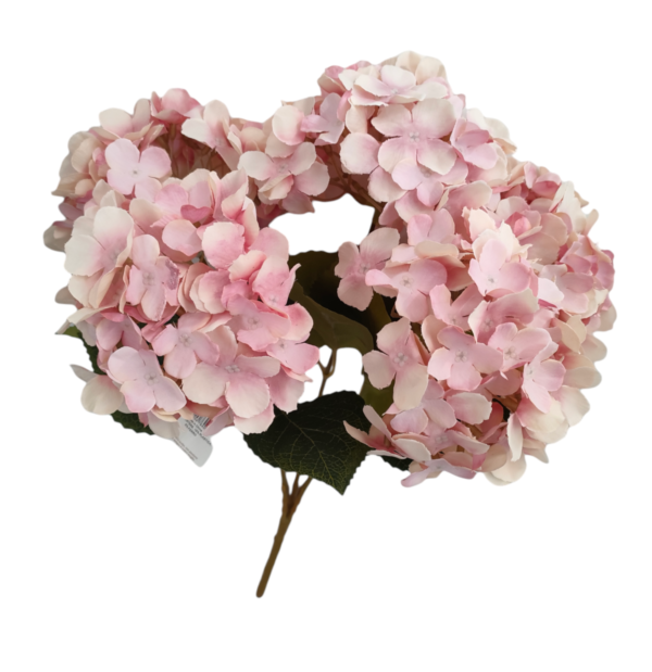 Mazzetto Ortensia 5 Steli 15*47Cm