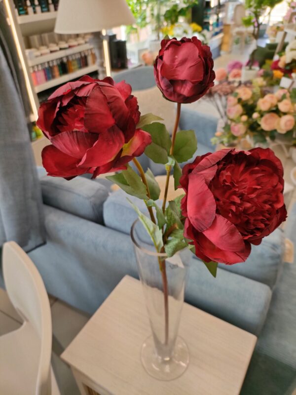 Peonia Nature a 3Fiori 4colori - immagine 5