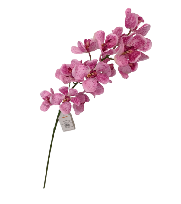 Stelo orchidea 16 Fiori 80Cm