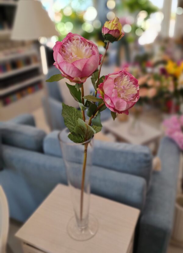 Peonia Nature a 3Fiori 4colori - immagine 2