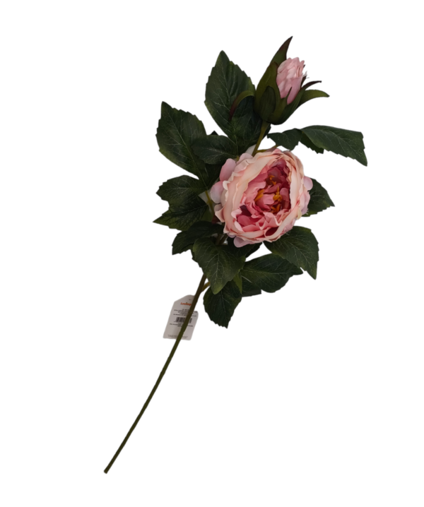 Stelo Peonia Leaves 63cm - immagine 2