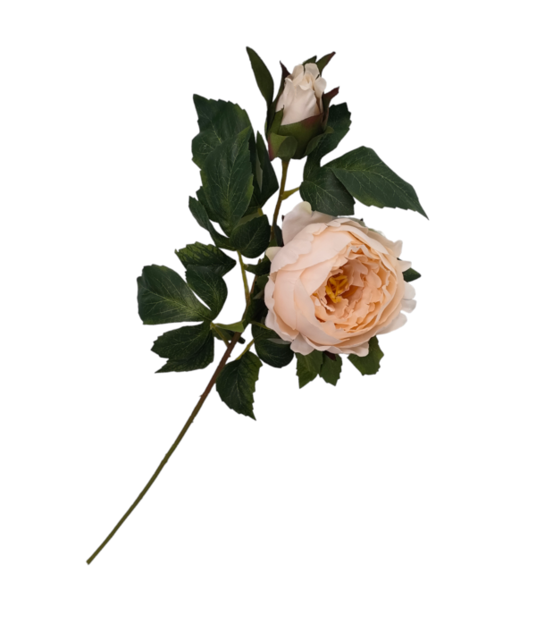 Stelo Peonia Leaves 63cm