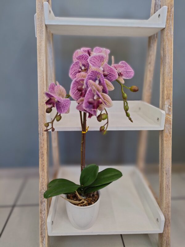 Orchidea Real Touch Vaso 44Cm - immagine 4
