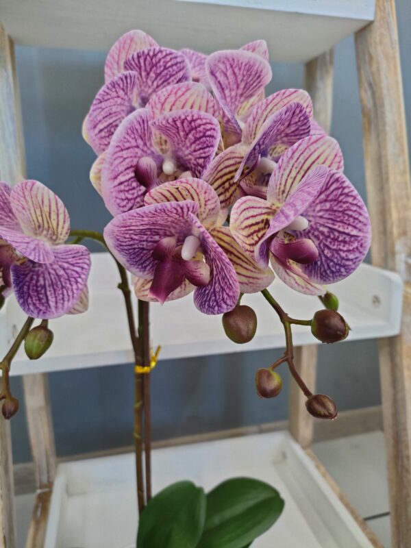 Orchidea Real Touch Vaso 44Cm - immagine 5