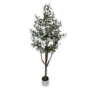 Pianta Ulivo Real Touch 605 Foglie 60*50*H.170Cm
