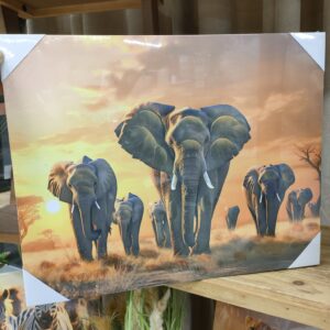 Tela Savana Sunset Elefant 40*50cm