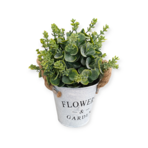 Piantina Grassa Flowers & Garden H.23cm