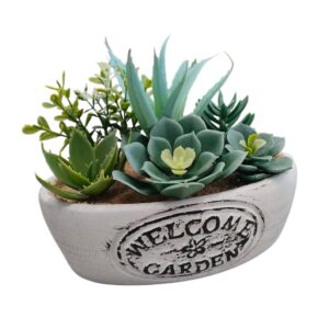 Vaso ovale Pianta Grassa Garden 19,5*11*H.18cm