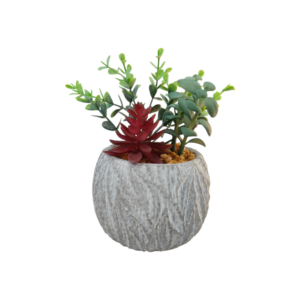 Vaso Leafy Cement 11*11*H.16cm