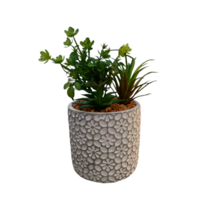 Vaso Tile Pianta Grassa 11*11*H.18cm