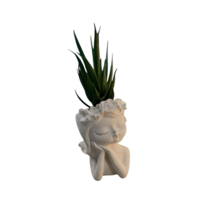 Vaso Sleeping Beauty Aloe 88*7,6*H.18cm
