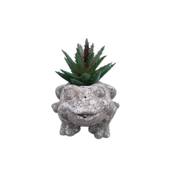 Vasetto Small Friend Rana 7,5*5*H.9cm - immagine 2