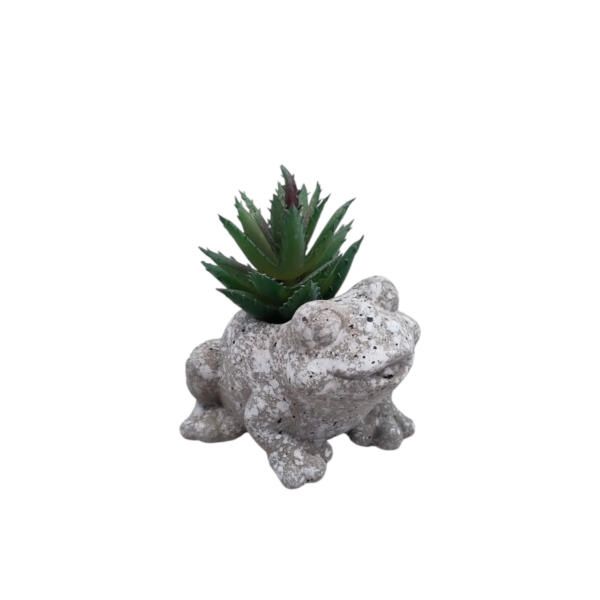 Vasetto Small Friend Rana 7,5*5*H.9cm