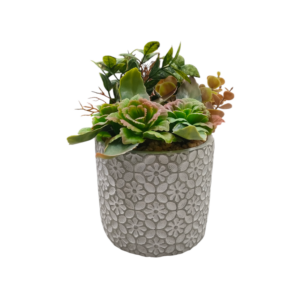 Vaso Tile Pianta Grassa 12*12*H.23cm