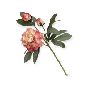Stelo Elegant Peonie 63cm (3Colori)