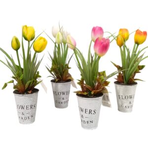Piantina Tulipani Flowers & Garden H.31cm (4Colori)