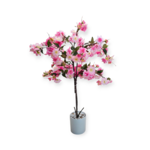 Pianta Pesco 62*H.85cm