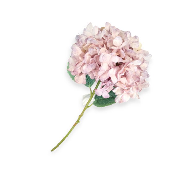 Ortensia Singola 54cm D.22cm (3Colori) - immagine 3