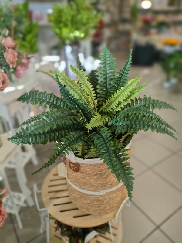 Bush Felce 25Foglie H.46cm - immagine 2