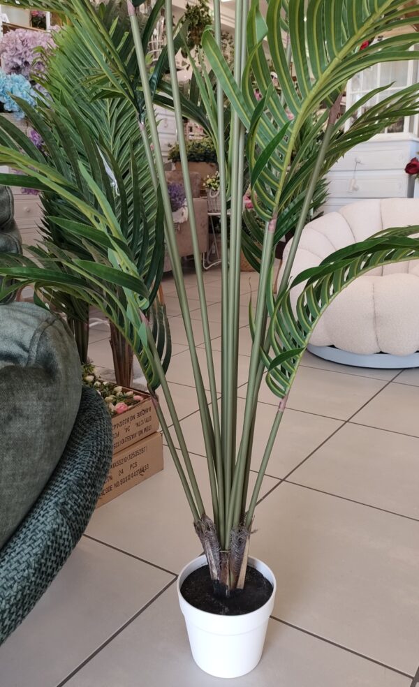 Vaso Pianta Tropicale H.170cm 14foglie - immagine 5