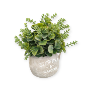 Greenery Vaso Cemento 20cm